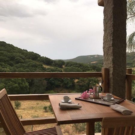 La Puntaccina Villa Aglientu Eksteriør billede